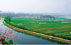 武隆縣雙河鄉(xiāng)蔬菜種植微型企業(yè)創(chuàng)業(yè)基地